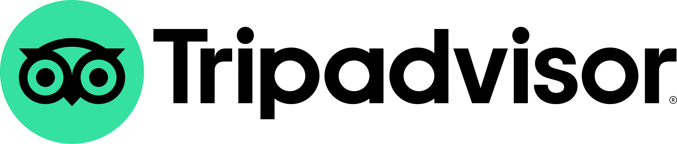 TripAdvisor-Logo